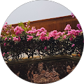 saskia ramadhani profile picture