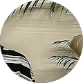 afaaa profile picture